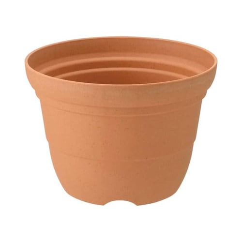 ひよっこ ポット 6号 BR リッチェル｜芳樹園オンラインショップ