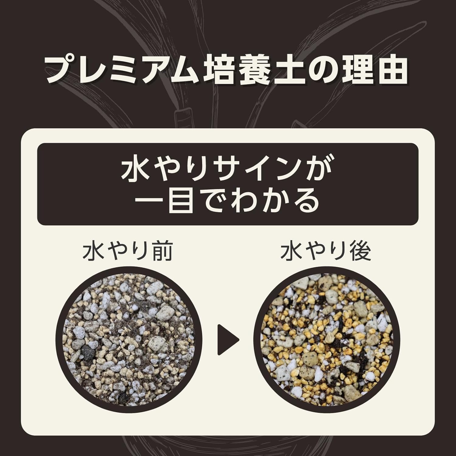 MY PLANTS(マイプランツ) 健やかに育てるソイル アガベ・多肉・塊根