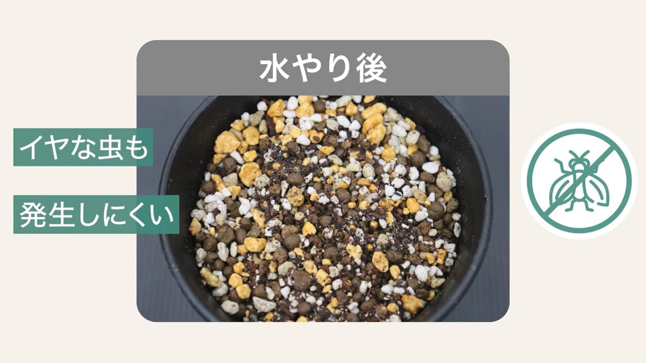 MY PLANTS(マイプランツ) 健やかに育てるソイル 観葉植物用 5L 住友