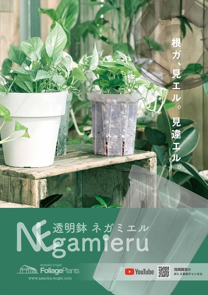 透明スリット鉢 ネガミエル(NEgamieru) 4号 120L(φ12cm)｜芳樹園