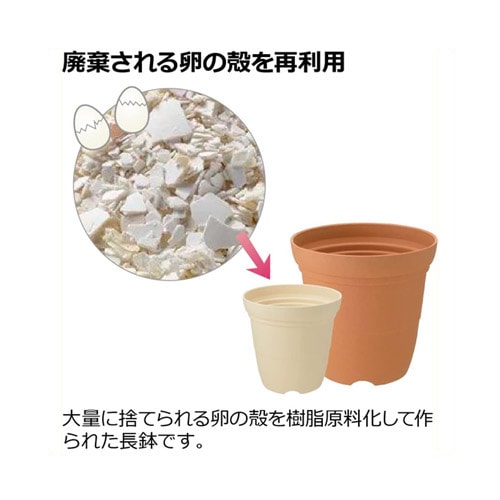 ひよっこ ハイポット 6号 BR リッチェル｜芳樹園オンラインショップ