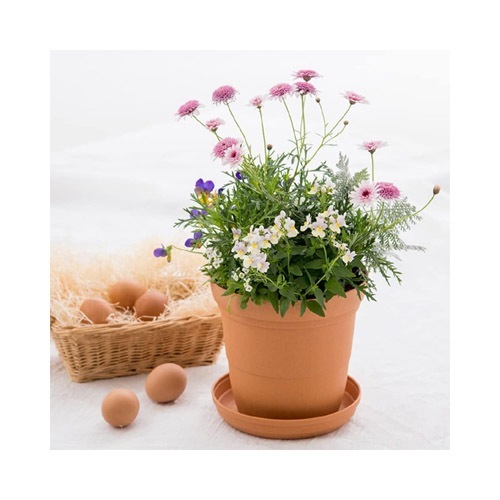 ひよっこ ハイポット 6号 BR リッチェル｜芳樹園オンラインショップ