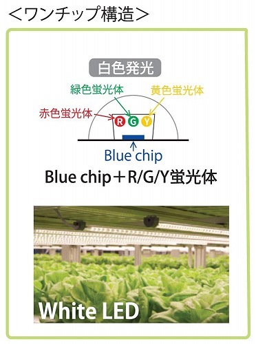 植物育成ライト LED プラントマグネット棚バー【4本点灯セット】 横浜