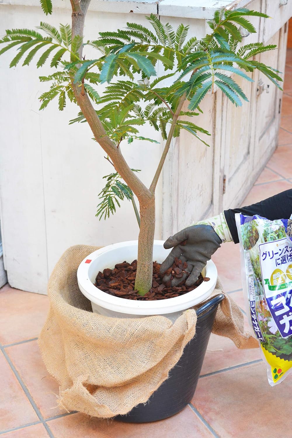 コンテナガードS 3L 花ごころ ｜芳樹園オンラインショップ