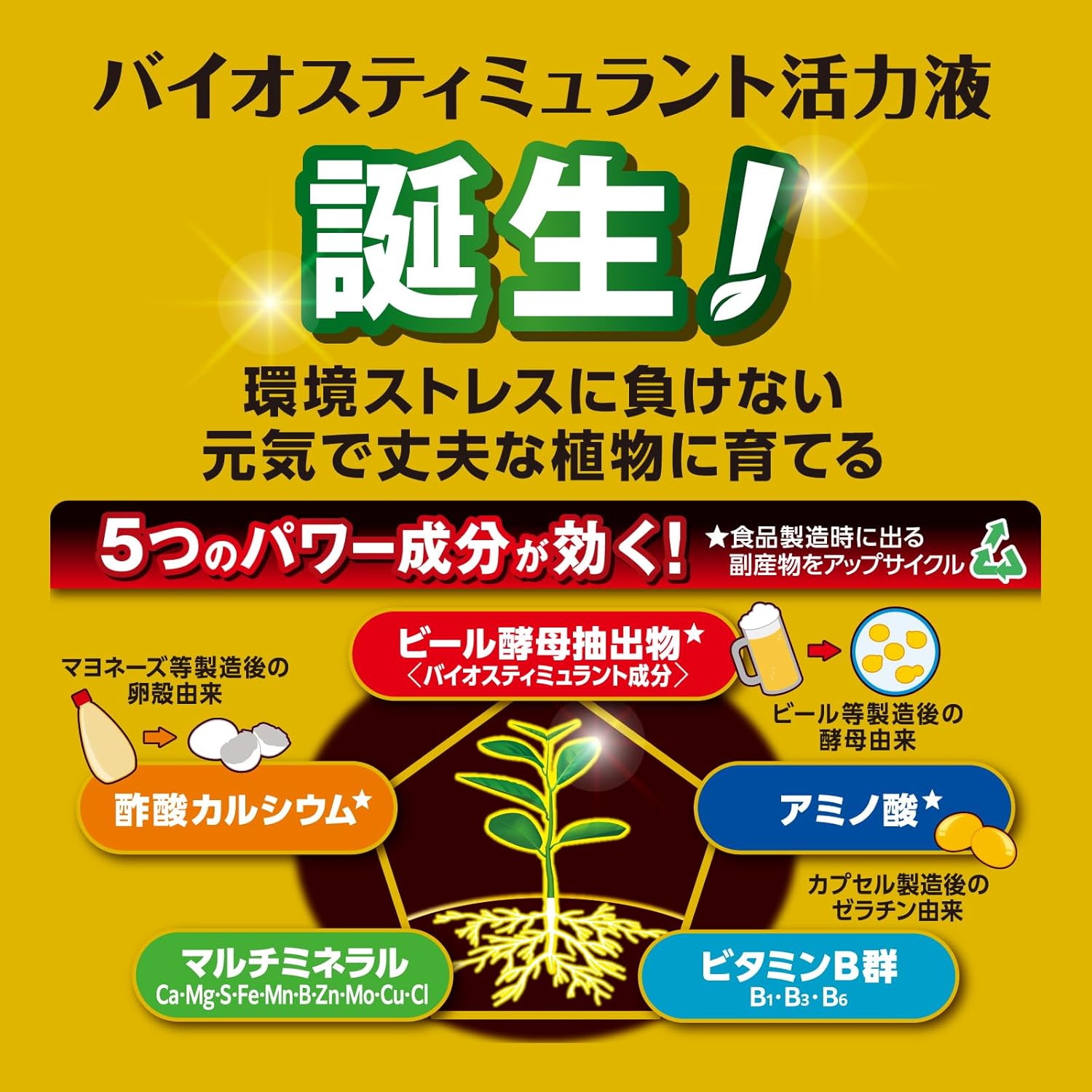 X-ENERGY(エックスエナジー) つめかえ用 1000ml(KINCHO園芸)｜芳樹園