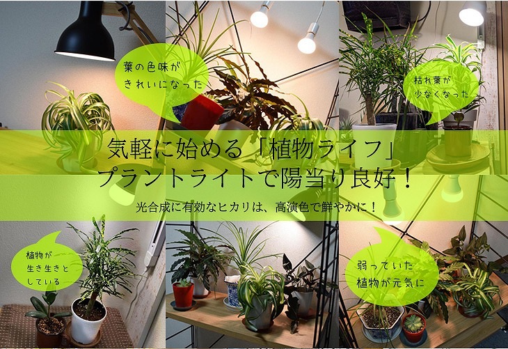 植物育成用LEDライト 白色電球タイプ 9W(LPL09WB3K)｜株式会社芳樹園