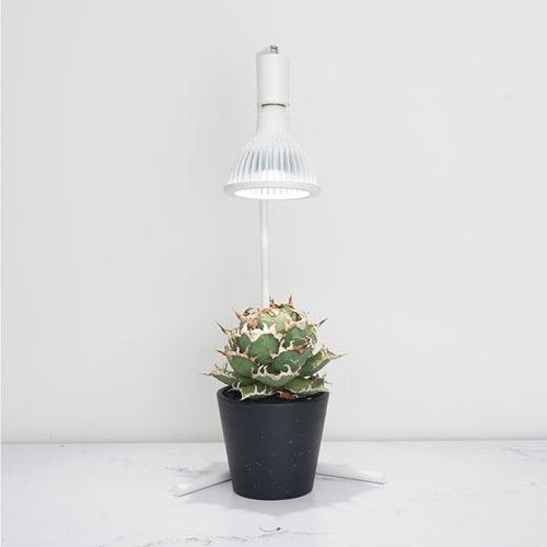 Akond(アコン) フロアーランプスタンド 74cm ブラック/ホワイト BARREL