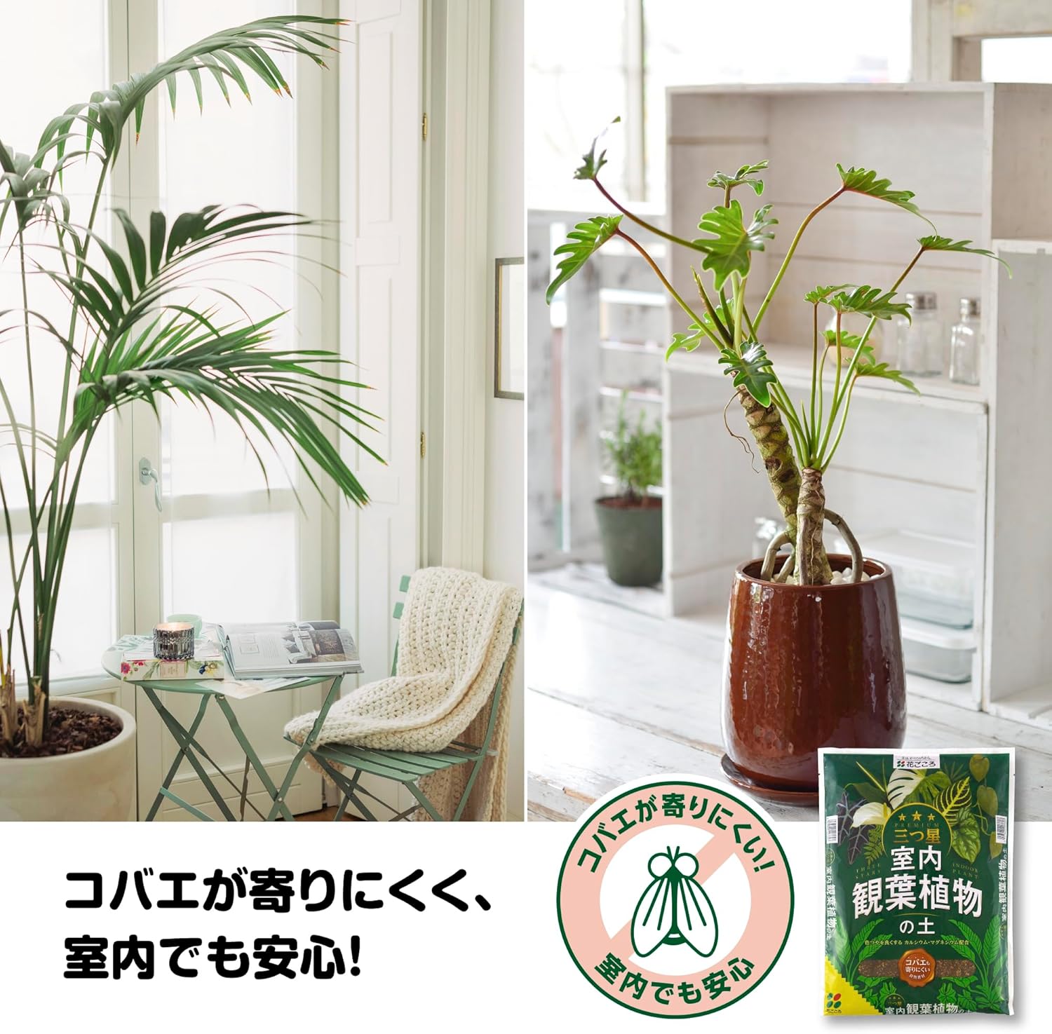 三つ星 室内観葉植物の土 5L 花ごころ｜芳樹園オンラインショップ