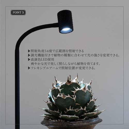 【新品未使用】BARREL yew-7w ブラック ユー ブラック/ホワイト(yew-7W-ST) BARREL｜芳樹園オンラインショップ