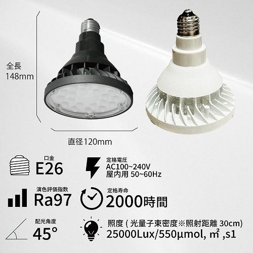 WAP-SUN20W-BK ブラック/ホワイト BARREL｜芳樹園オンラインショップ