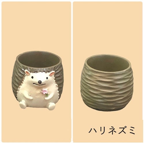 リトルレジンポット B KEI｜芳樹園オンラインショップ