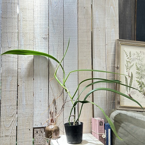 artificial plants and grasses 14pcs Artificial Plants Outdoor, UV Resistant Fake Grass Outdoor Plant –  Lasercutwraps Shop main image 1