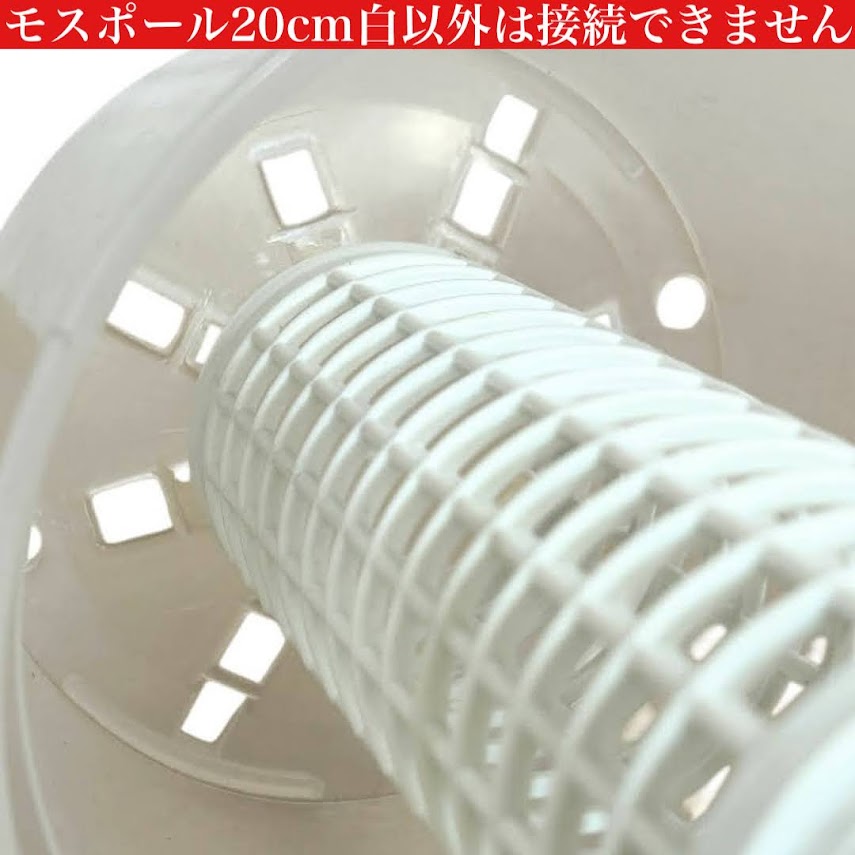Jolie Nursery モスポール単品 20cm 白 水苔無し 1本(5号透明/5.5号