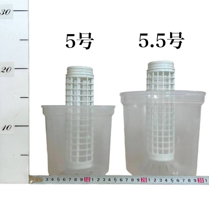 Jolie Nursery モスポール単品 20cm 白 水苔無し 1本(5号透明/5.5号