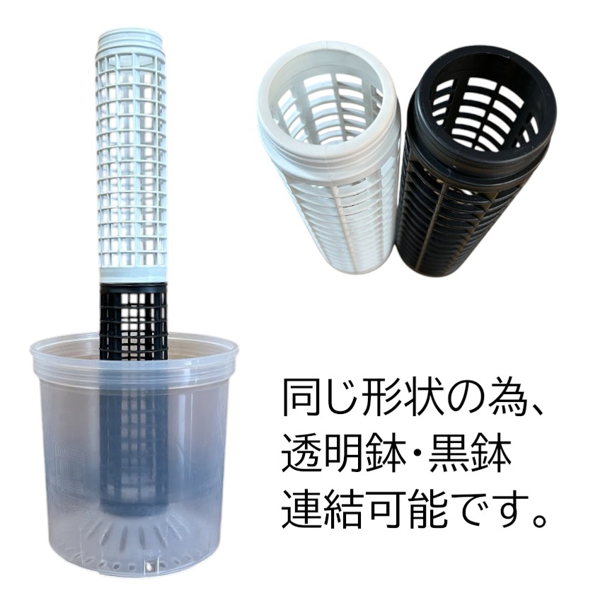 Jolie Nursery モスポール単品 20cm 白 水苔無し 1本(5号透明/5.5号