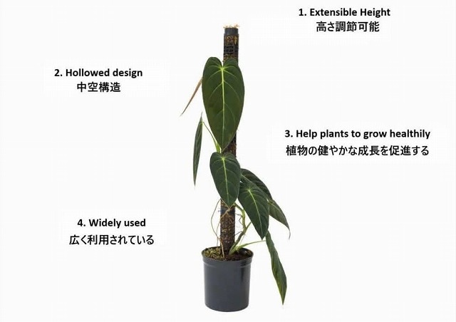 Jolie Nursery 半月型モスポール 30cm 黒 水苔無し(ポール単品)｜株式