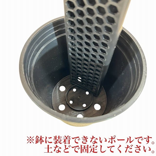 Jolie Nursery 半月型モスポール 30cm 黒 水苔無し(ポール単品