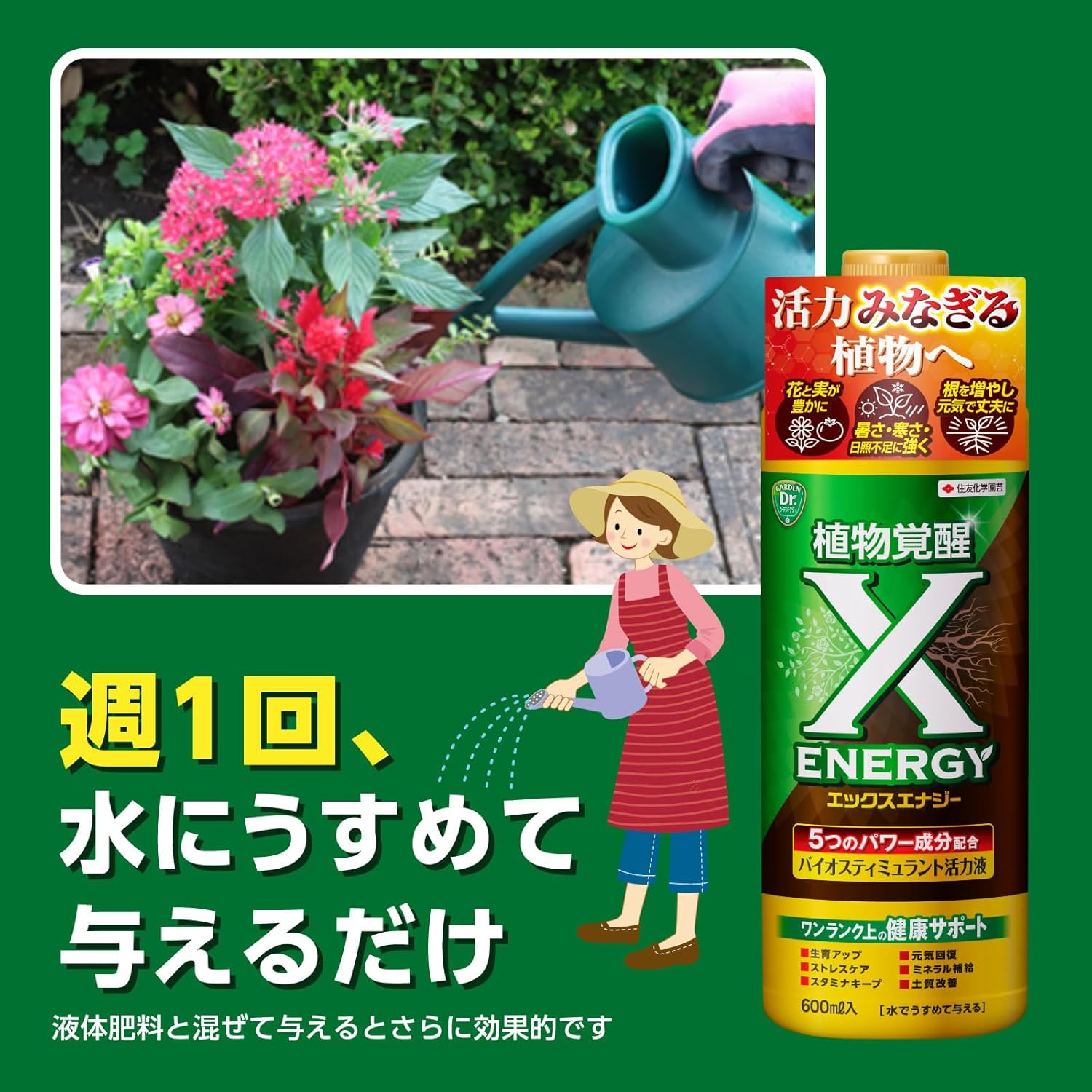 X-ENERGY(エックスエナジー) 600ml 住友化学園芸｜芳樹園オンライン