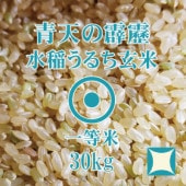 送料無料 青森県産 青天の霹靂 20kg 精白米 令和6年産 宅配