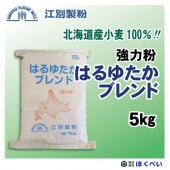 ̵Ϥ椿֥ɡ硡̳ƻʴ