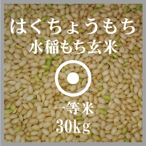 �̳�ƻ�����Ϥ����礦�����������硡���ơ����£�ǯ����������