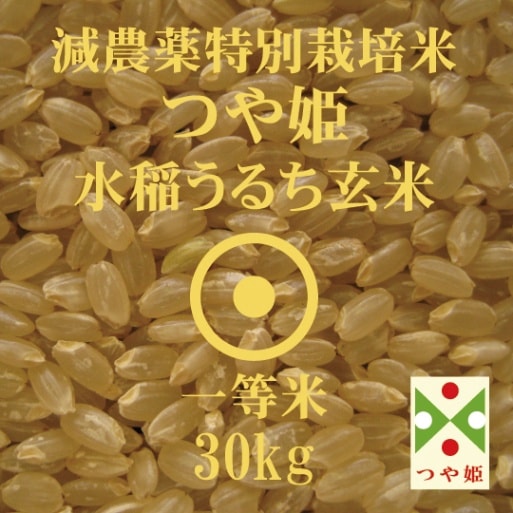 �����������Ĥ�ɱ��������硡���ơ����£�ǯ����������