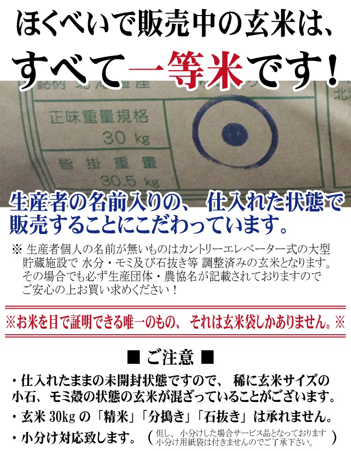 �̳�ƻ�����Ԥ꤫�����ơ�������硡YES���꡼�������ء����£�ǯ��