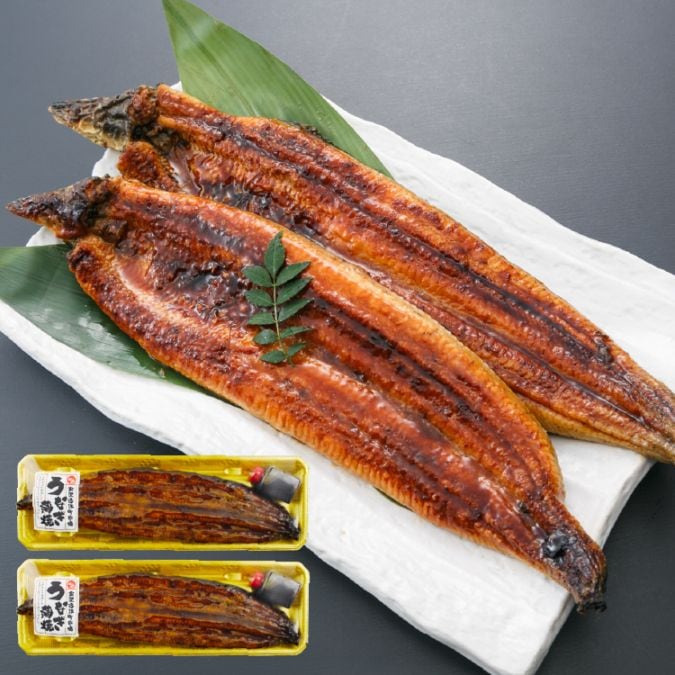 【敬老の日・送料無料】愛知県三河一色産 うなぎ蒲焼 2尾 【冷凍】