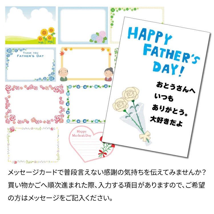 海の恵み おつまみセット(のどぐろ、えび、ほたるいか) 【常温】