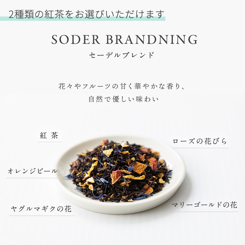 �̲����㥮�ե�BOX ��ե��룲��