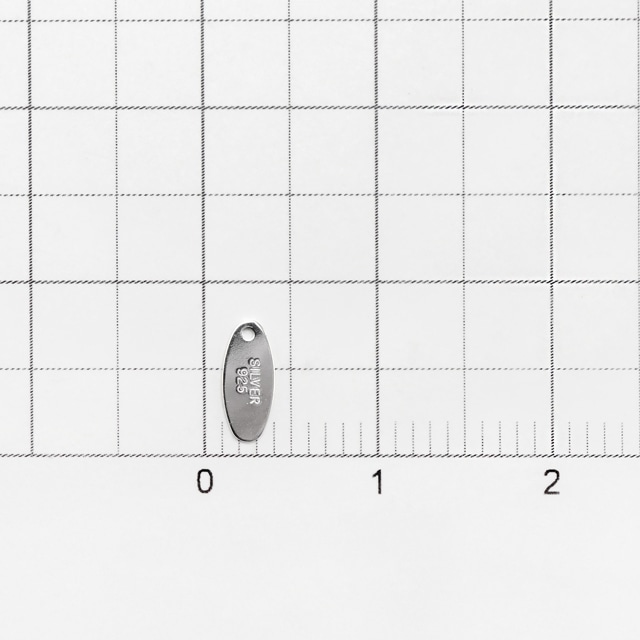 NNP0001SVP SV925製パーツ プレート 7.0×3.0×0.3mm 5ヶ - 卸シルバー