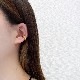 21C0007STE ���ƥ�쥹�����䡼����  ������� ľ����16mm������5mm 1��