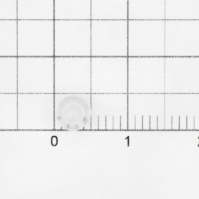053NYCLELE ʥԥå ľ4.5mm5.0mm 10ڥ