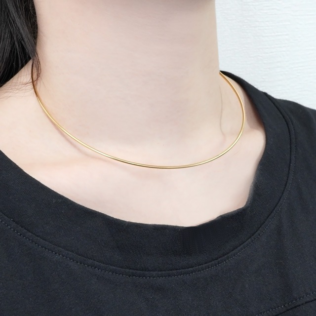 13A0021STN ���ƥ�쥹�����硼���� ���� ������� ��13.5��12.5cm(�����39.5cm),����1.5mm 1��