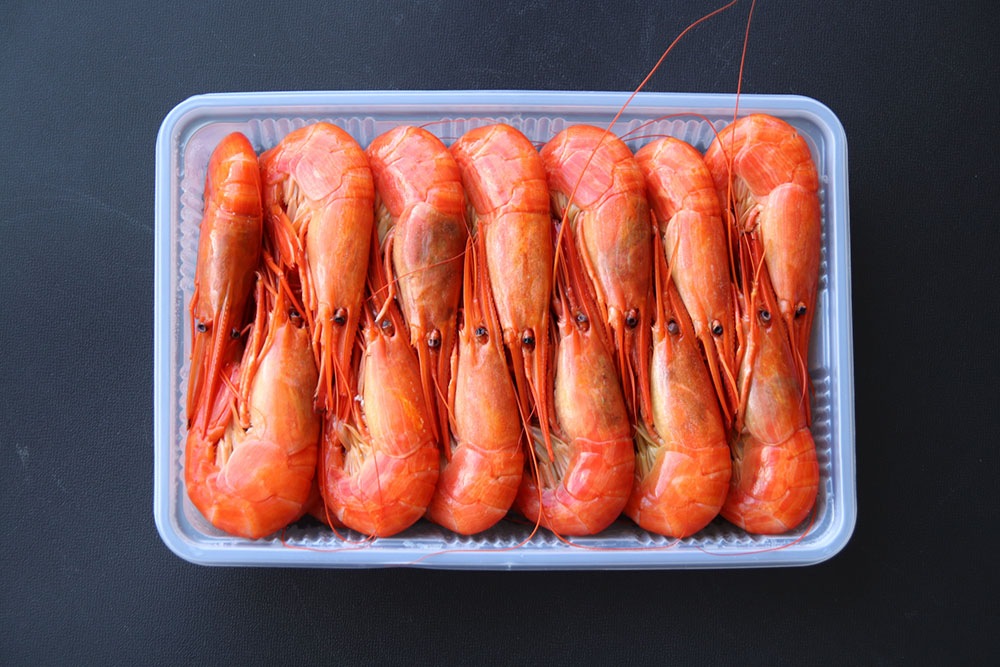 北海しまえび（500g） | すべての商品 | 釧路北匠 (TS CUBIC SHOPPING)