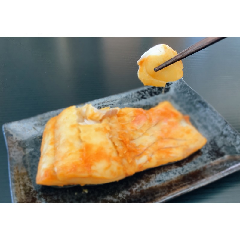 たら三昧　レンちん君