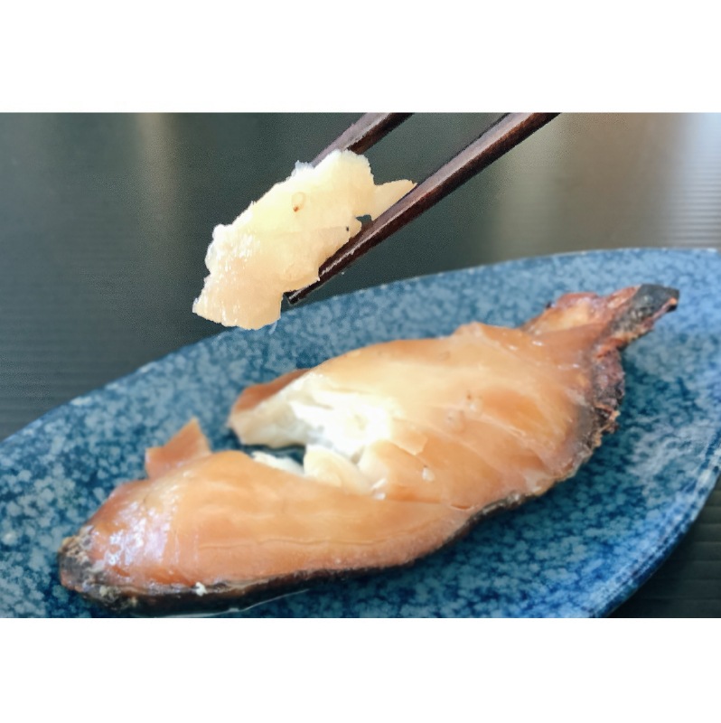 たら三昧　レンちん君