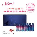 プレヴェールユーe-コンクファンタスティック2025