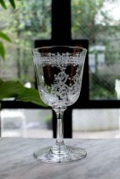 �Х��顡��ե������åȡ��磻�󥰥饹��12cm��2698