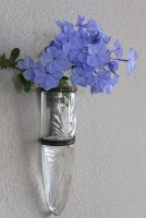 ¥Õ¥é¥ó¥¹¡¡¥«¥Ã¥È¥¬¥é¥¹¡¡¥Ï¥ó¥®¥ó¥°¥Õ¥é¥ï¡¼¥Ù¡¼¥¹¡¡4280