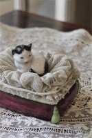 �ե�󥹡�ǭ�Υݡ������ܥå�����4034