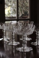 Х顡ԥˡѥ󥯡ס4990_5161