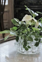 ¥Õ¥é¥ó¥¹¡¡Â礤ʥեé¥ï¡¼¥¬¥é¥¹¥â¡¼¥ë¥É¡¡5480