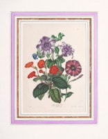 エドワード・ジョージ&アンドリュー・ヘンダーソン 「花束図説」 1857年−64年 No.10