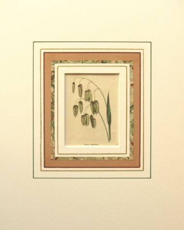 ベンジャミン・モーンド 「植物園」 1825年−51年 No.382