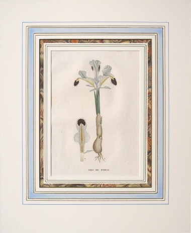 ����󡦥���ꡦ���硼�ࡦ���󡦥ƥ��졼�� �֥ե�󥹤ο�ʪ�� 1805ǯ��09ǯ No.200