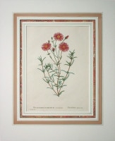 �������她�ȡ��ԥ�ॹ���ɡ�����ɥ� ��¿����ʪ����� ��1798ǯ��1829ǯ�� No.12