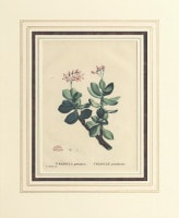 �������她�ȡ��ԥ�ॹ���ɡ�����ɥ� ��¿����ʪ����� ��1798ǯ��1829ǯ�� No.33