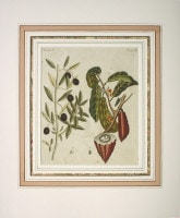 �ե꡼�ɥ�ҡ���ϥ󡦥楹�ƥ��󡦥٥�ȥ����� �־�ǯɴ�ʿ޴ա׿�ʪ�� 1792ǯ��1830ǯ No.PL2