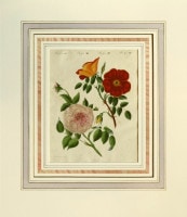 �ե꡼�ɥ�ҡ���ϥ󡦥楹�ƥ��󡦥٥�ȥ����� �־�ǯɴ�ʿ޴աץХ��� 1792ǯ��1830ǯ No.RS7